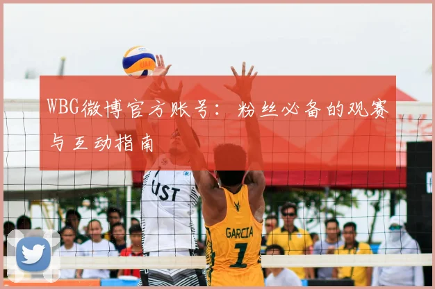 WBG微博官方账号：粉丝必备的观赛与互动指南