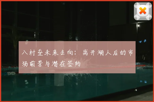 八村垒未来去向：离开湖人后的市场前景与潜在签约