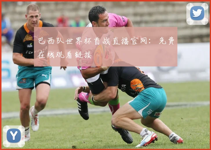 巴西队世界杯首战直播官网：免费在线观看链接