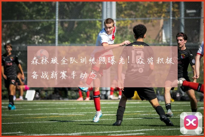 森林狼全队训练照曝光！众将积极备战新赛季动态